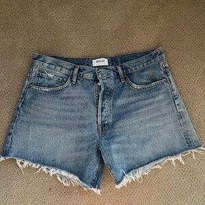 Agolde Parker Long shorts